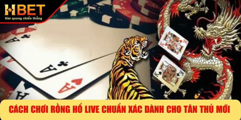 Cách Chơi Rồng Hổ Live Chuẩn Xác Dành Cho Tân Thủ Mới