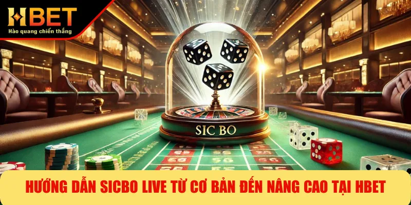 Hướng Dẫn Sicbo Live Từ Cơ Bản Đến Nâng Cao Tại HBET